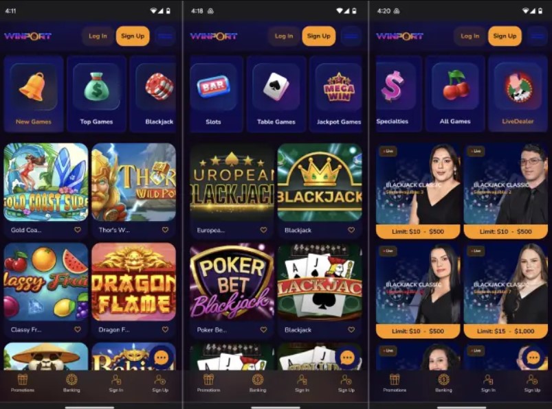 WinPort Casino Best Slots__2